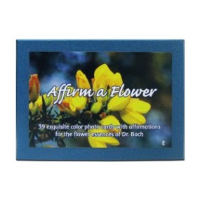 FES Kalifornisches Kartenset – Affirm a Flower (Bach Flowers) 39-teilig