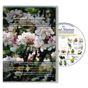 DVD Flores de Bach - El segundo diecinueve