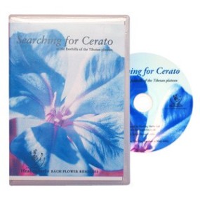 DVD Bach Flowers - Searching For Cerato