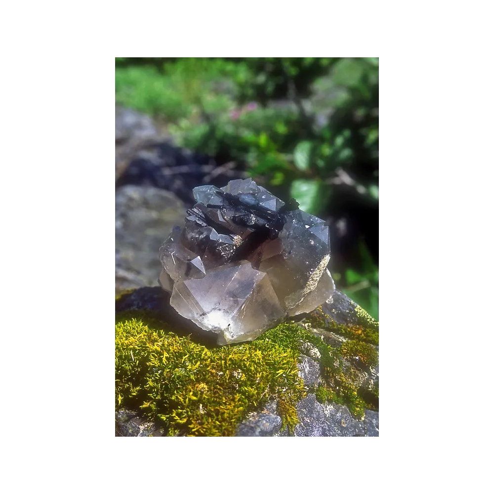 Essence unique d'Alaska - Tourmaline noire/Quartz maître (7,4 ml)