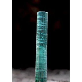 Essence unique Alaska -...