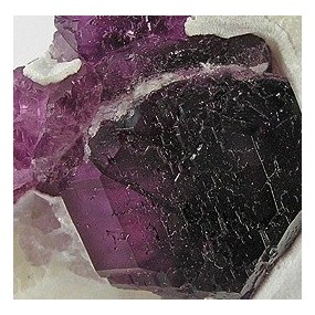 Korte Kristallessenz – Fluorit 15 ml