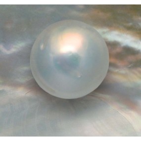 Korte Kristallessenz - Perle 15 ml