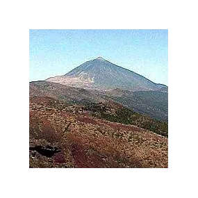 Essenza ambientale Korte -...