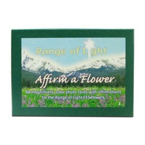 Juego de cartas FES de California - Afirmar una flor (Rango de luz) 48 piezas