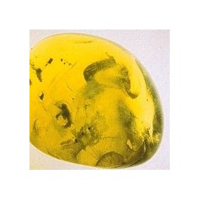 Essenza di Cristalli Korte - Peridot 15 ml