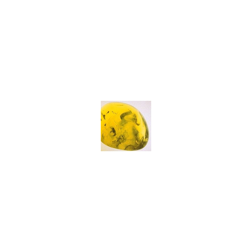 Essenza di Cristalli Korte - Peridot 15 ml