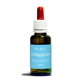 Mix di Essenze Natur Mix - Coraggio! 30 ml