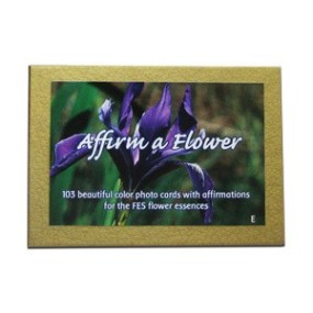 Jeu de cartes California FES - Affirmer une fleur (103 pièces)