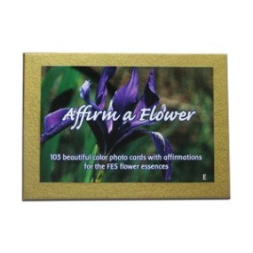 Juego de tarjetas FES California - Afirmar una flor 103 piezas