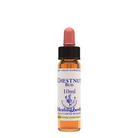 Bach Flower Healing Herbs - Chestnut Bud