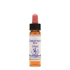Healing Herbs de flores de Bach - Chestnut Bud