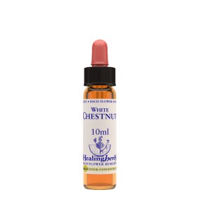 Fleurs de Bach - Healing Herbs - Châtaigne blanche