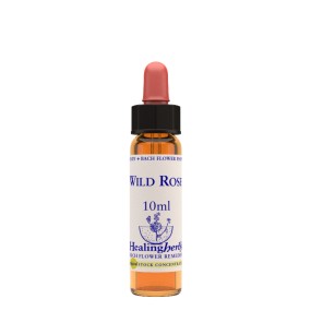 Bach Flower Healing Herbs - Wild Rose