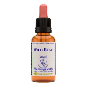Bachblüten- Healing Herbs – Wildrose | Natur.it