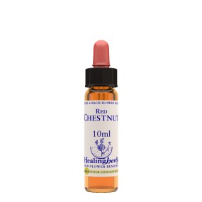 Fleurs de Bach - Healing Herbs - Châtaigne rouge
