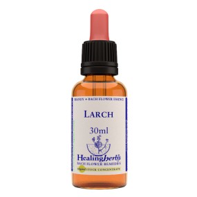 Bachblüten- Healing Herbs - Lärche | Natur.it