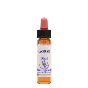 Healing Herbs de flores de Bach - Gorse