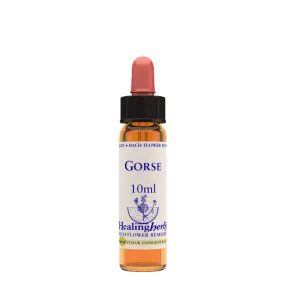 Healing Herbs de flores de Bach - Gorse | Natur.it