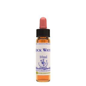 Bachblüten- Healing Herbs – Felsenwasser