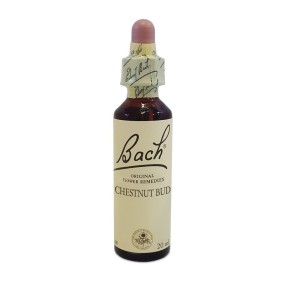 Fleurs de Bach Bach Center - Bourgeon de Châtaignier 20 ml