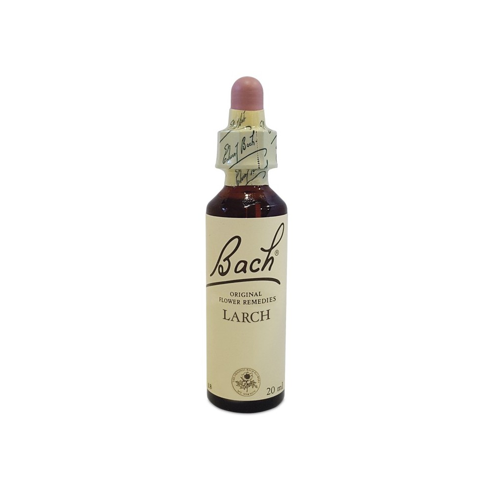 Larch