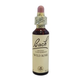 Wild Rose