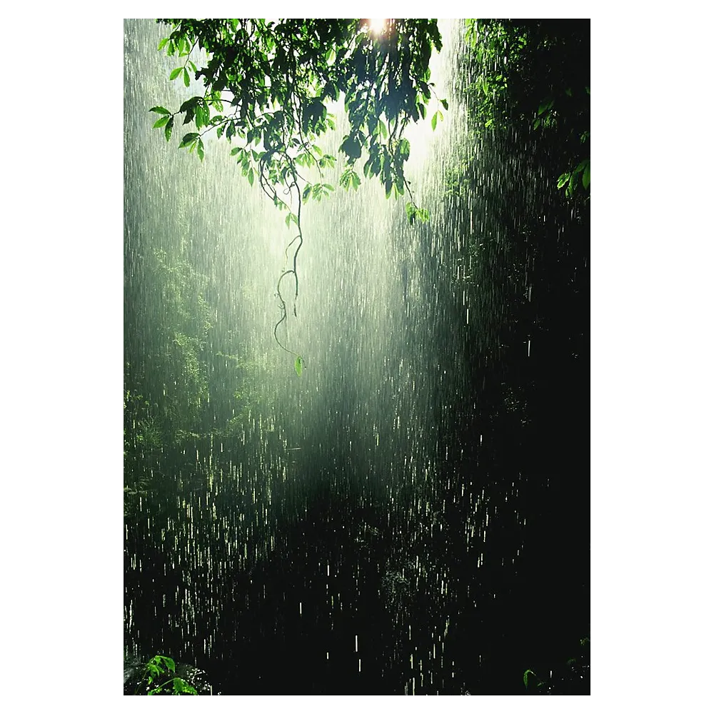 Alaska Single Essence - Typhoon 7.4 ml