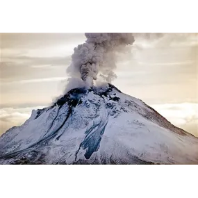 Alaska Single Essence -...