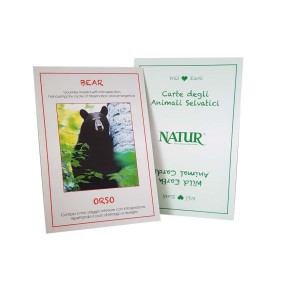 Kartenset „Wilde Erde“-Tierkarten – 45-teilig