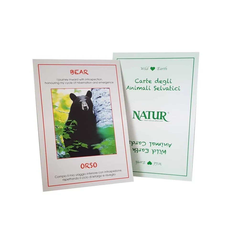 Set Carte Animali Selvatici Wild Earth - 45 pezzi