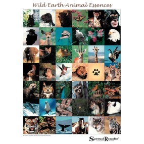 Póster de terapia floral - Esencias de animales de la tierra salvaje