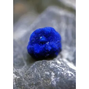 Essence unique d'Alaska -...