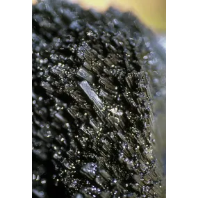 Essence Unique d'Alaska -...