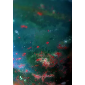 Essence simple Alaska -...