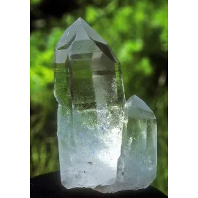 Alaska Single Essence -...