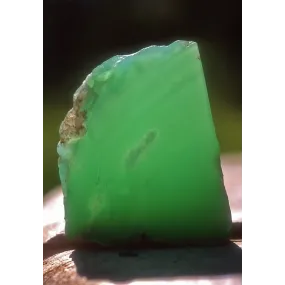 Essence unique d'Alaska -...