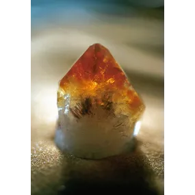 Essence unique d'Alaska -...