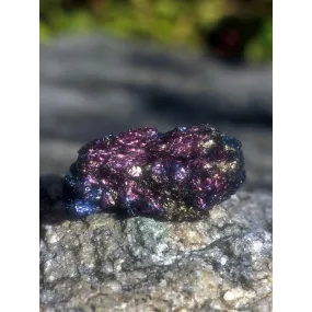 Essence unique d'Alaska -...