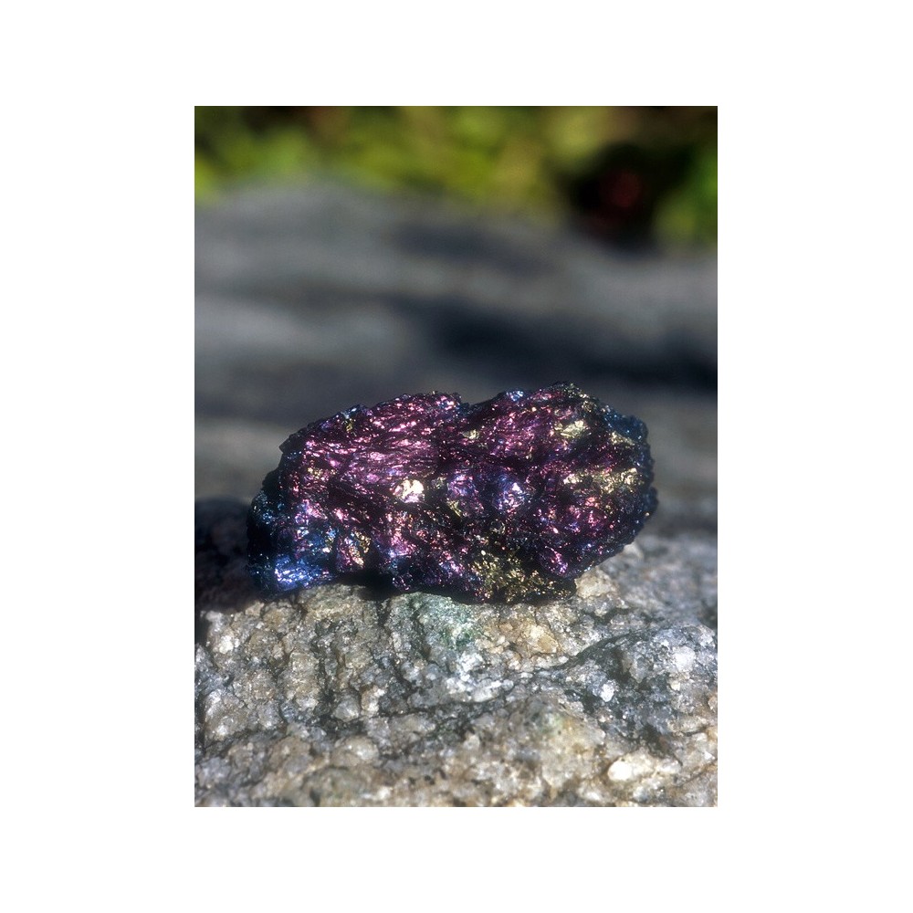 Essenza Singola dell'Alaska - Covellite (Covellite) 7,4 ml