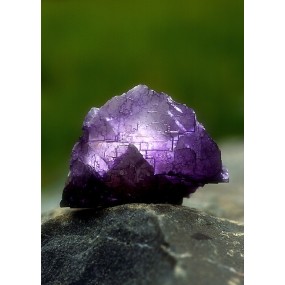 Esencia única de Alaska - Fluorita (Fluorita Púrpura) 7,4 ml