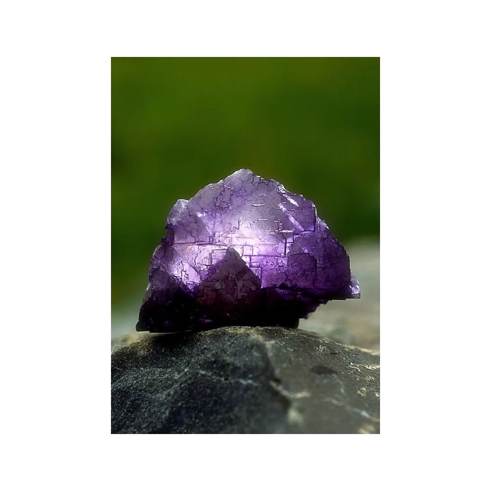 Alaska Single Essence - Fluorite (Fluorite violette) 7,4 ml