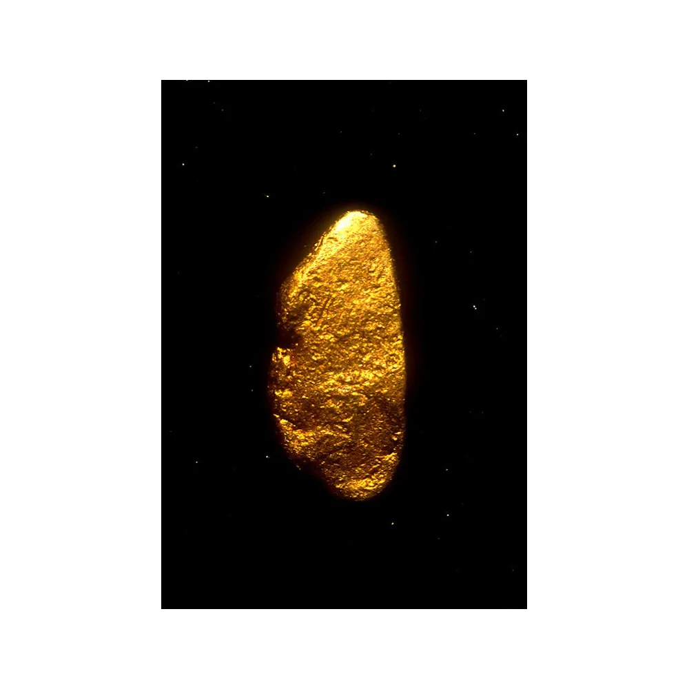 Essenza Singola dell'Alaska - Gold (Oro) 7,4 ml