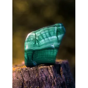 Esencia única de Alaska -...