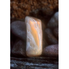 Esencia única de Alaska - Piedra lunar (Lunaria) 7,4 ml