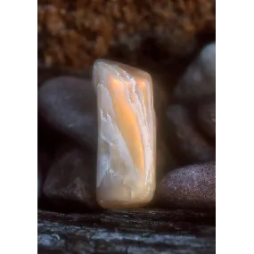 Essence Unique d'Alaska -...