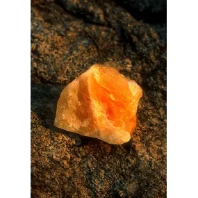 Essence Unique d'Alaska -...