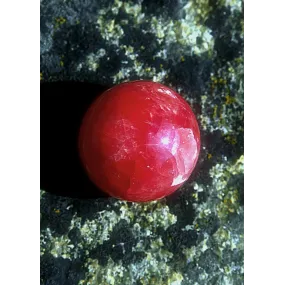 Essence unique d'Alaska -...