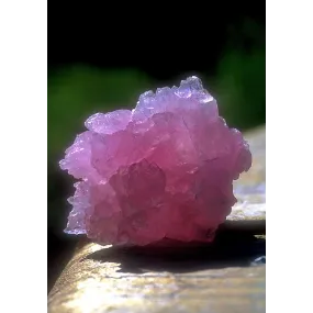Essence unique d'Alaska -...