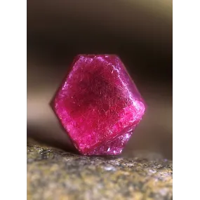 Esencia única de Alaska -...